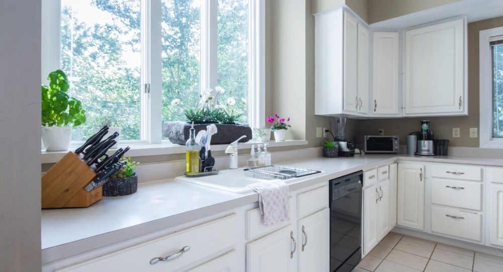 kitchen cabinets remodel