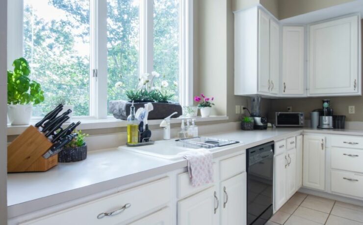 kitchen cabinets remodel